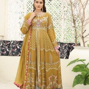 WOMEN'S-3 PIECE EMBROIDERY Chiffon | B-1743